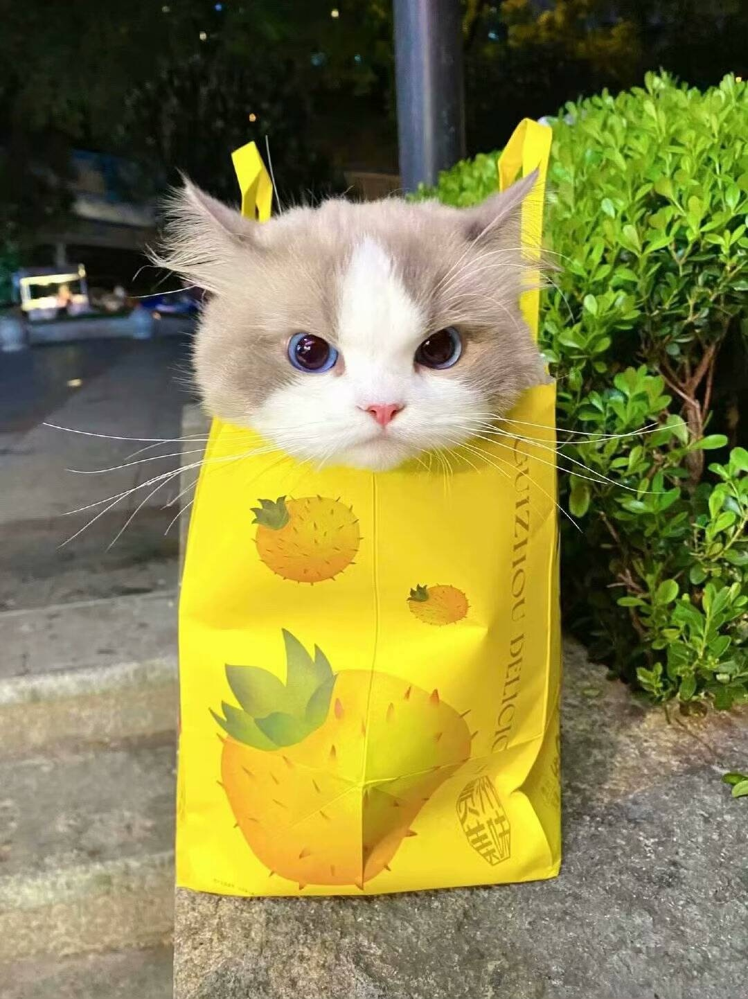 2025-04-20T07:21:02.png