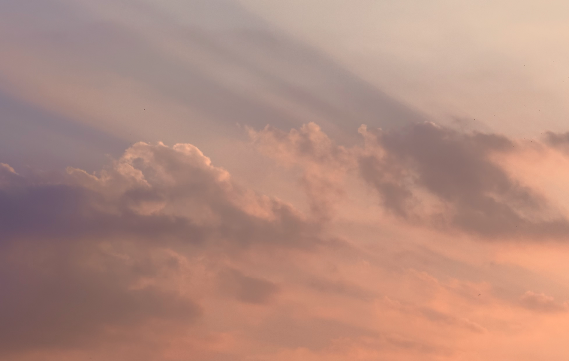 2025-07-19T10:48:46.png